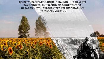 Квітне соняхами пам’ять про Героїв України